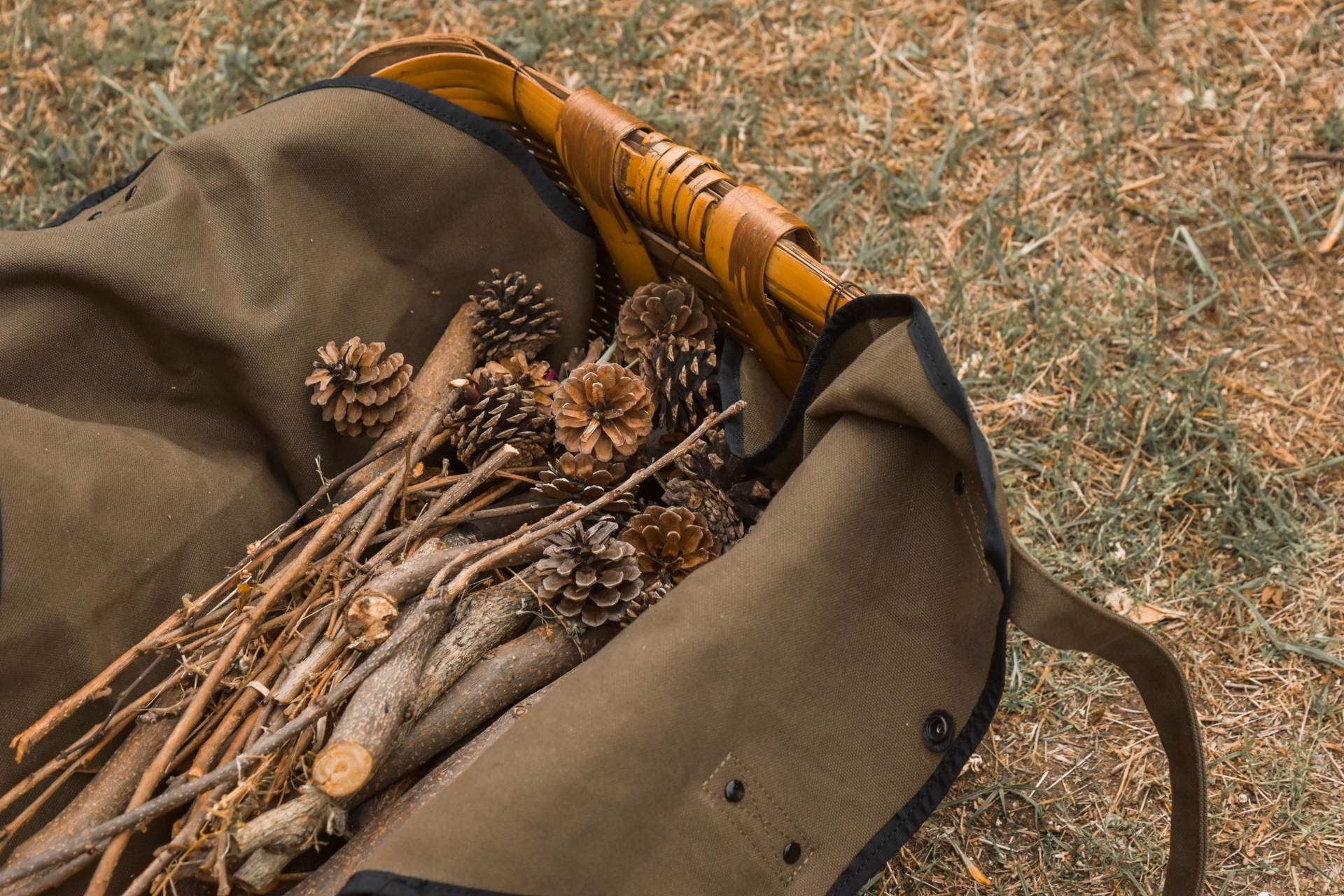 焚き火 焚き付け