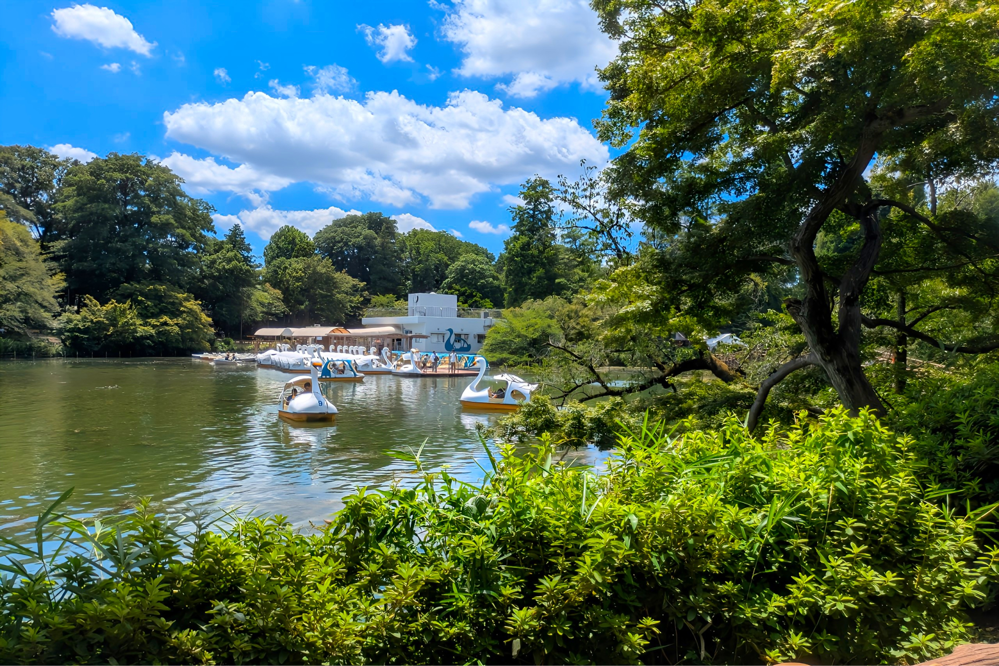 吉祥寺でキャンプ用品/ウェアが揃うアウトドアショップ