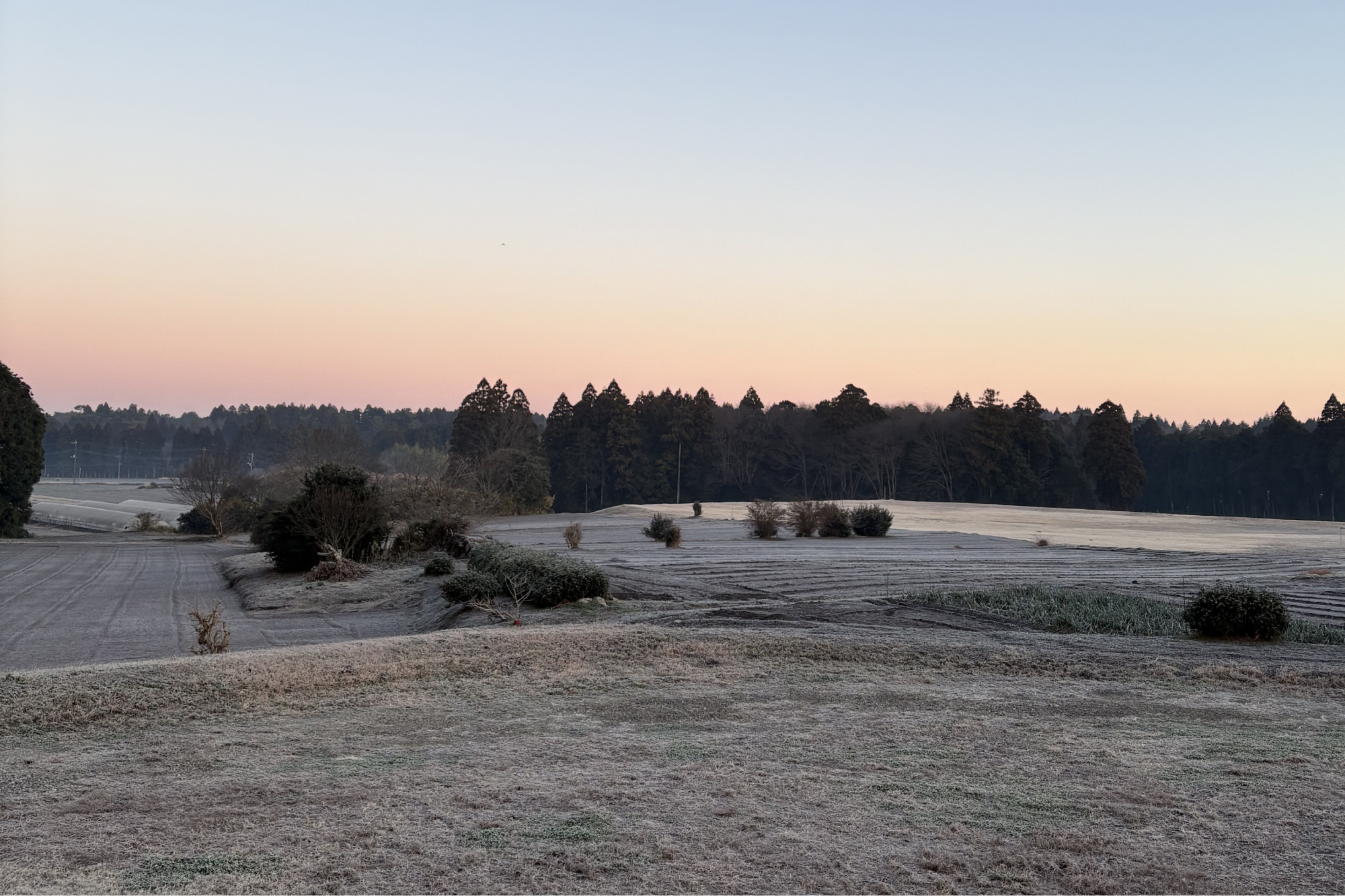 楽々ガーデン レディースサイト