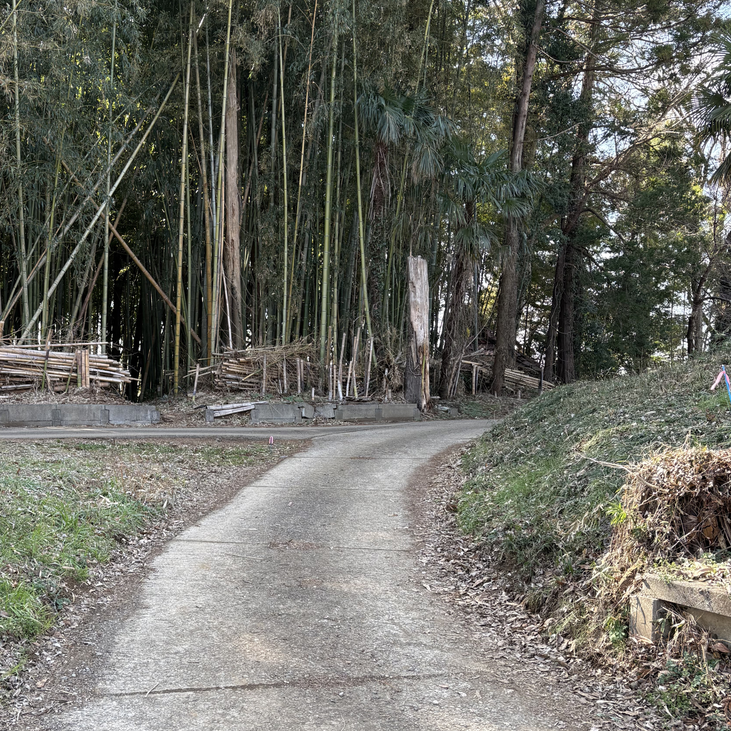 キャンプ場の狭い道もソリオなら安心